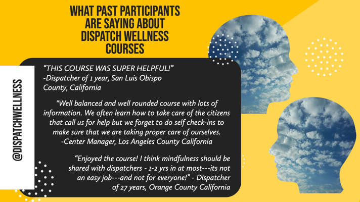 You are currently viewing What Past Participants Are Saying About Dispatch Wellness Courses